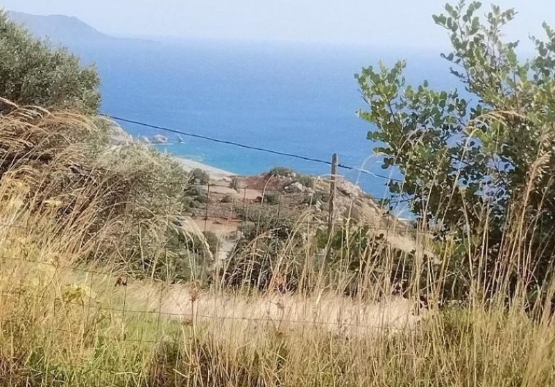 Ag. Paraskevi bei Triopetra Kreta, Agia Paraskevi: Grundstück im Süden zum Verkauf Grundstück kaufen